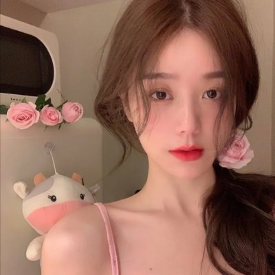 特殊身份的警官